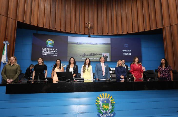 Foto: Comunicação Deputado Estadual Gerson Claro